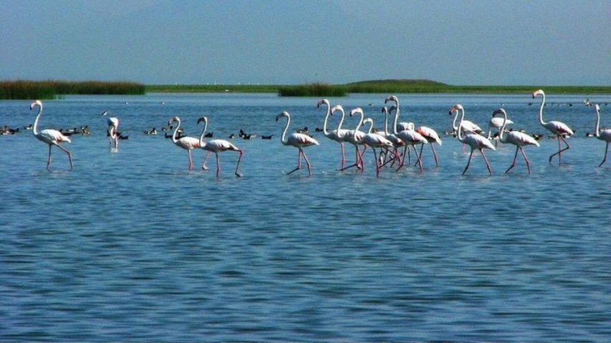 (Image Source: Pinterest/ppradhan650)