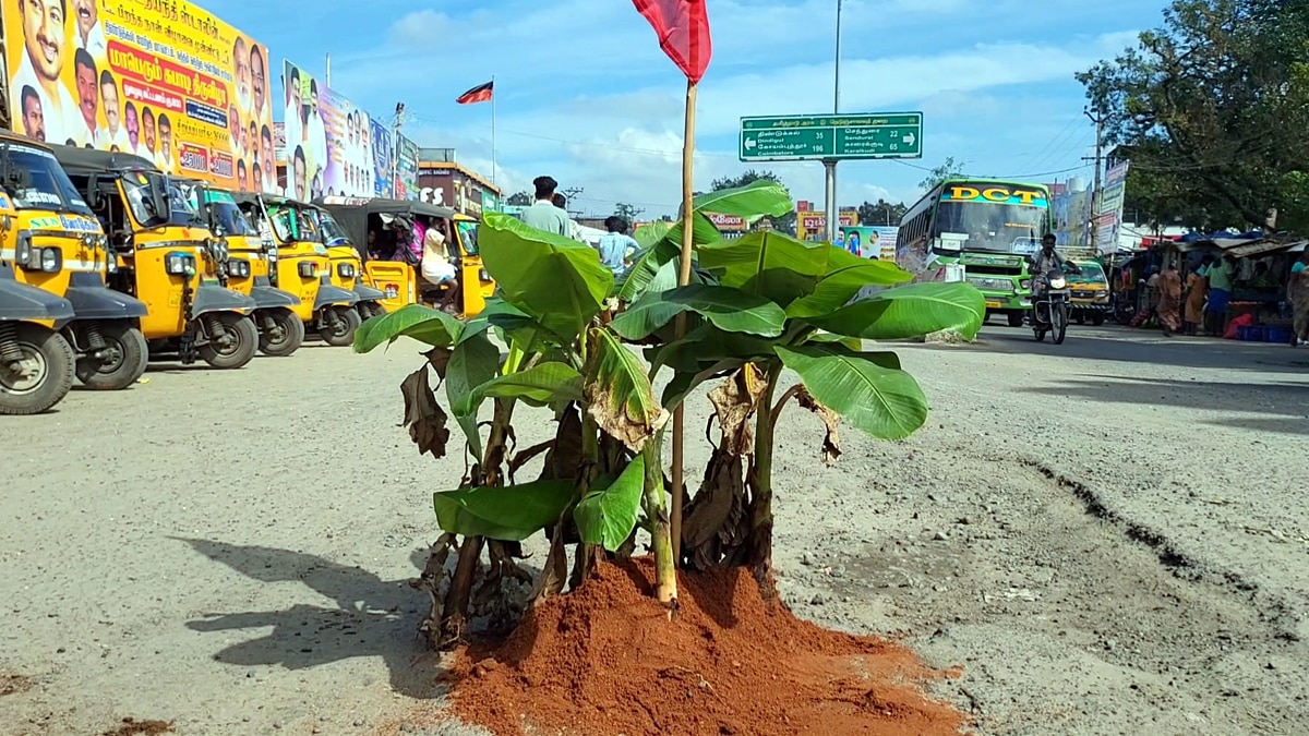 சாலையில் வாழை மரம்  நடும் நூதன போராட்டத்தில் ஈடுபட்ட  கம்யூனிஸ்ட்