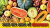 रोजाना कई फल एक साथ खा रहे हैं आप? जान लें ये सेहत को कैसे पहुंचा सकता है नुकसान