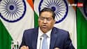 ‘India’s Concern On Terrorism Wasn’t Acceptable To One Particular Country’: MEA On SCO Declaration Collapse