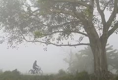 Gujarat Cold:  ગુજરાતમાં કાતિલ ઠંડીમાં થશે વધારો, જાણો શું છે હવામાન વિભાગની લેટેસ્ટ આગાહી