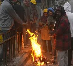 Gujarat Cold:  ગુજરાતમાં કાતિલ ઠંડીમાં થશે વધારો, જાણો શું છે હવામાન વિભાગની લેટેસ્ટ આગાહી