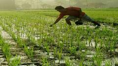 RBI MPC:  RBIની ખેડૂતોને મોટી ભેટ, હવે સરળતાથી મળશે આટલા લાખની લોન