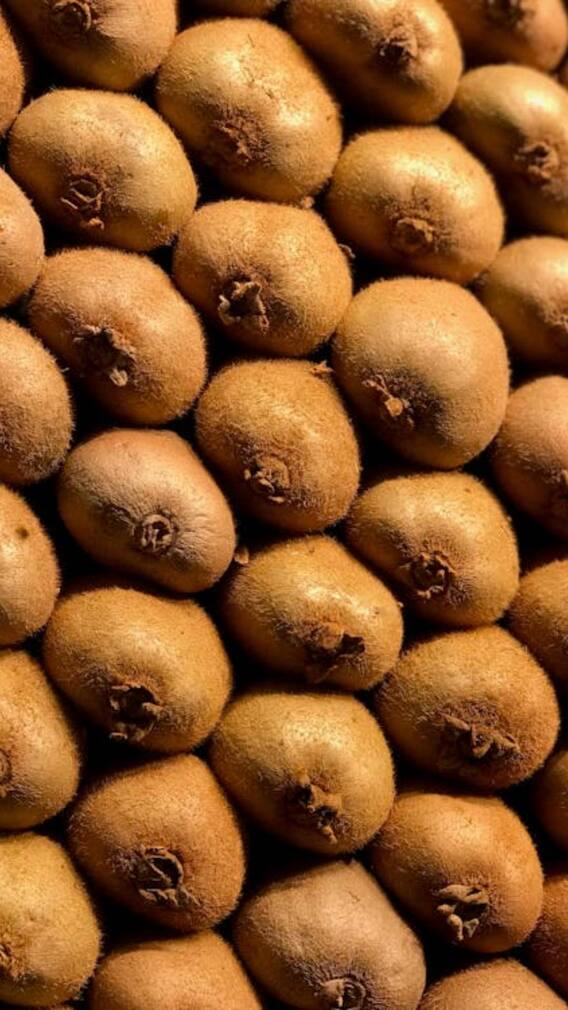 क्या गमले में उगा सकते हैं कीवी