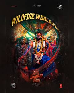 Pushpa 2 The Rule: 'पुष्पा 2' ने हिंदी बॉक्स ऑफिस में खत्म कर दी बॉलीवुड के इन बड़े स्टार्स की सल्तनत, देखें पूरी लिस्ट