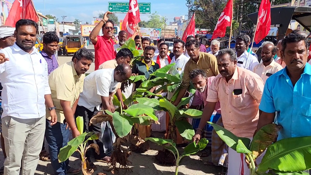 சாலையில் வாழை மரம்  நடும் நூதன போராட்டத்தில் ஈடுபட்ட  கம்யூனிஸ்ட்