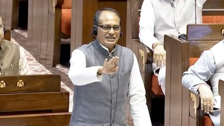 In RS, Shivraj Assures MSP For All Crops As Farmers' Delhi March Deferred For Talks With Modi Govt Tomorrow