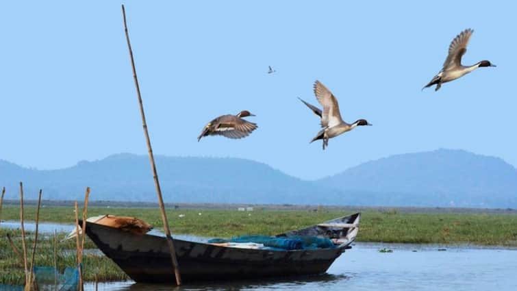 Exploring India’s Scenic Winter Lakes: From Dal Lake To Chilika Lake