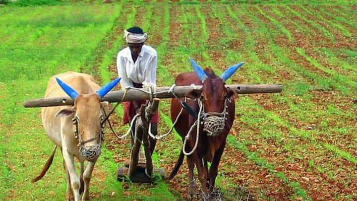 जिन किसानों की फॉर्मर रजिस्ट्री नहीं होगी उनकी अगली किस्त अटक सकती है. सरकार ने इसके लिए डेडलाइन तय कर दी है. अगर किसानों ने 31 दिसंबर 2024 तक फॉर्मर रजिस्ट्री नहीं करवाई तो फिर उन किसानों को लाभ नहीं मिलेगा.