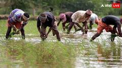 किसान योजना में अटक जाएंगे कई किसानों के पैसे, बिना देरी किए पूरे कर लें ये काम