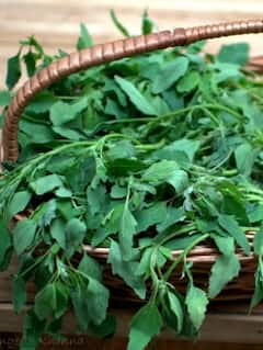 ਸਰਦੀਆਂ 'ਚ ਬਾਥੂ ਦਾ ਸਾਗ ਖਾਣਾ ਸਿਹਤ ਲਈ ਵਰਦਾਨ, ਸਰੀਰ ਹੁੰਦਾ ਚੁਸਤ ਤੇ ਦੂਰ ਹੁੰਦੀ ਕਈ ਬਿਮਾਰੀਆਂ