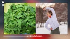 ਸਰਦੀਆਂ 'ਚ ਬਾਥੂ ਦਾ ਸਾਗ ਖਾਣਾ ਸਿਹਤ ਲਈ ਵਰਦਾਨ, ਸਰੀਰ ਹੁੰਦਾ ਚੁਸਤ ਤੇ ਦੂਰ ਹੁੰਦੀ ਕਈ ਬਿਮਾਰੀਆਂ