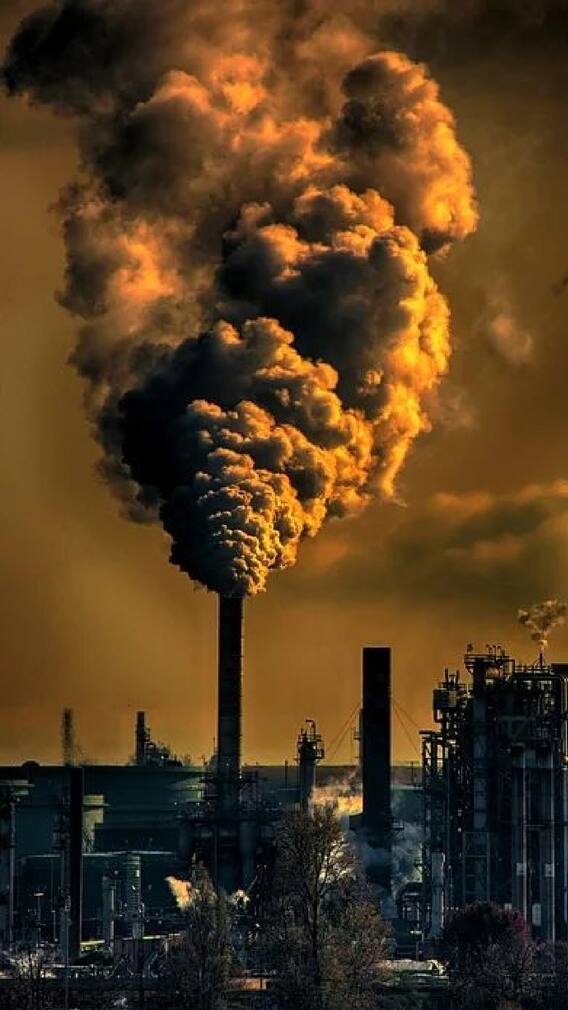 वायू प्रदूषण आहे लठ्ठपणाचं कारण?