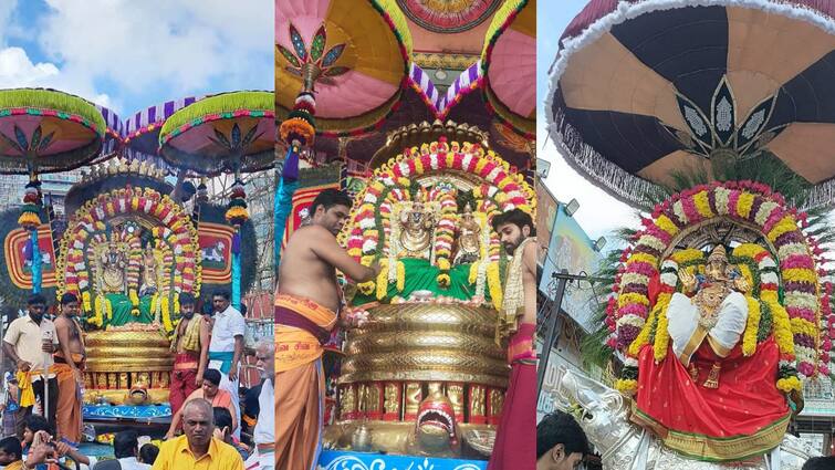 Tiruvannamalai Karthigai Deepam 2024 4th day Utsavam nagavaganam tnn திருவிழாக் கோலத்தில் திருவண்ணாமலை... நாக வாகனத்தில் எழுந்தருளிய அண்ணாமலையார்..!