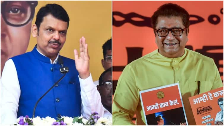 Raj Thackeray In Mahayuti Government? CM Fadnavis Says 'Views Match'