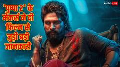 'पुष्पा 2' बनी पहली भारतीय फिल्म, जिसने वर्ल्डवाइड सबसे तेज कमाए 500 करोड़