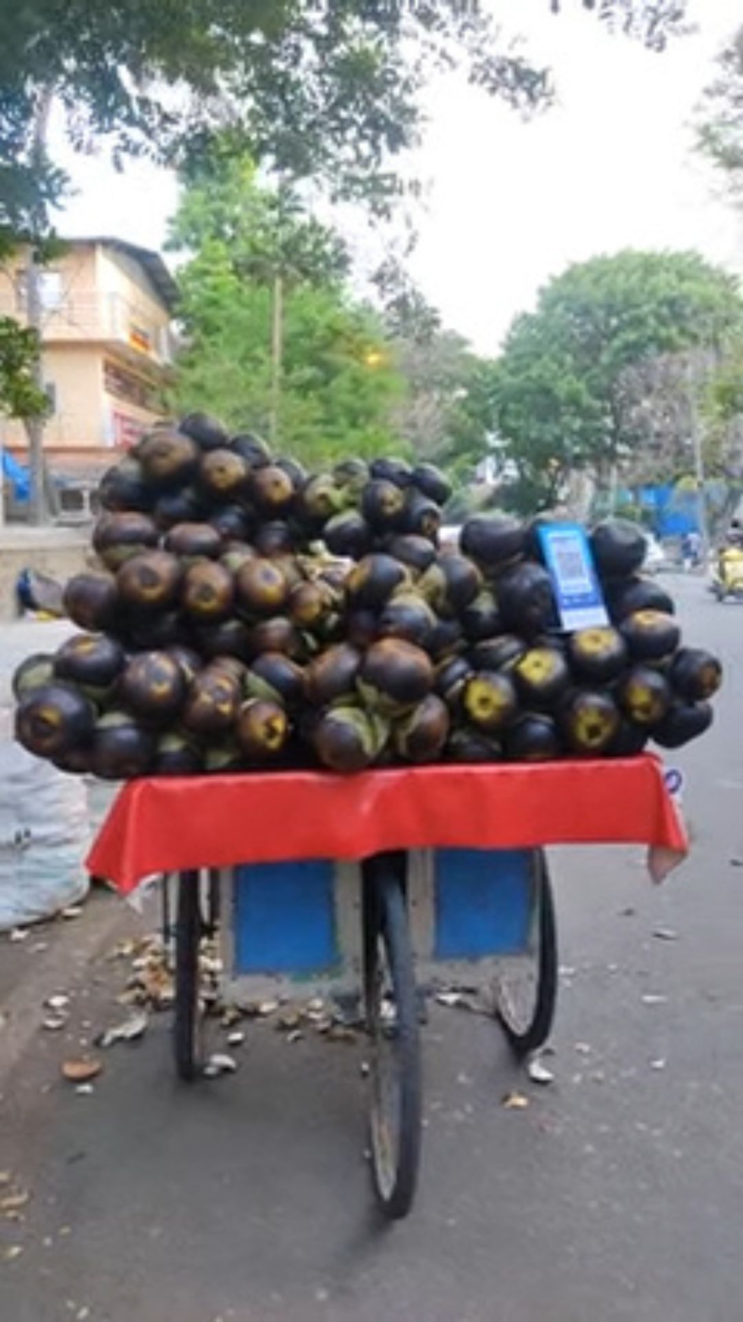 நுங்கில் வைட்டமின் சி, இரும்புச்சத்து மற்றும் பொட்டாசியம்  உள்ளது.