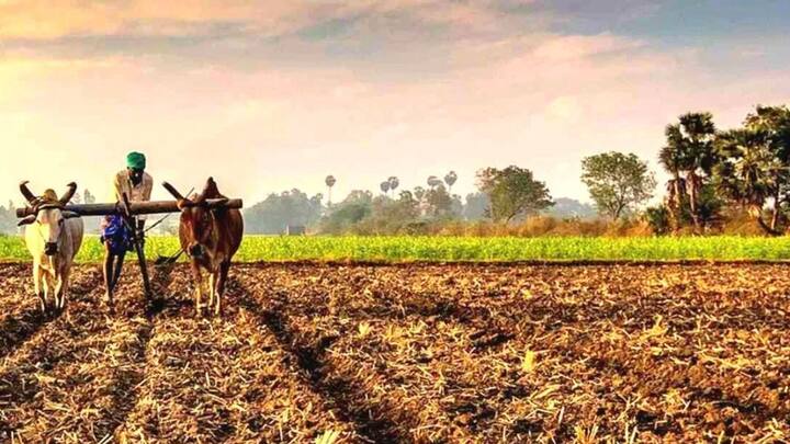 बता दें किसान योजना की 18वीं किस्त अक्टूबर के महीने में जारी की गई थी अब 19वीं किस्त अगले साल फरवरी के महीने में जारी की जा सकती है. किस्त मिलने से पहले आप ऊपर बताए गए कामों को जरूर पूरा करवा लें.