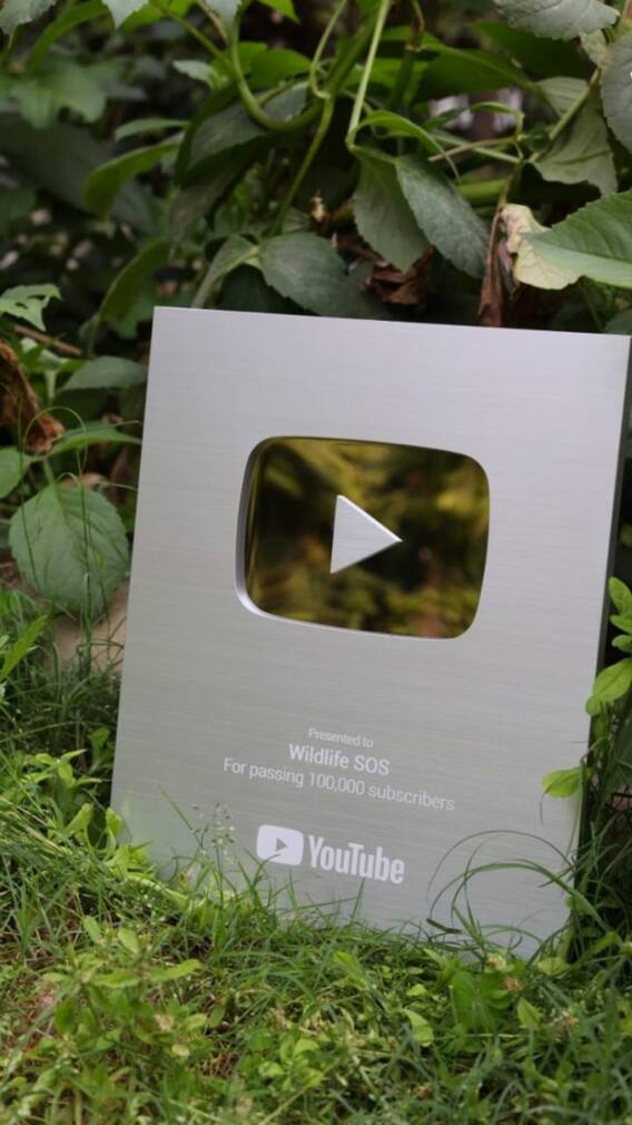 यूट्यूब पर कब मिलता है सिल्वर बटन, फिर कितनी कमाई होती है?