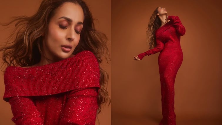 Malaika Arora Gives Christmas Fashion Inspiration In A Glamorous Red Gown, PICS