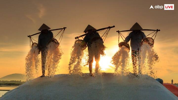 नमक हमारी जिंदगी का एक खास हिस्सा है, लेकिन क्या आप जानते हैं कि सबसे ज्यादा नमक का उत्पादन किन देशों में होता है और भारत का उनमें क्या स्थान है? चलिए इस सवाल का जवाब जानते हैं.