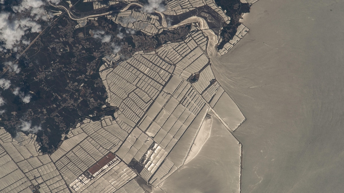 This high-contrast photo shows fish farms along Liaoning Province’s coast in China. Extending nearly 6 km into the Yellow Sea, these farms are the largest in the region, supporting significant aquaculture production.