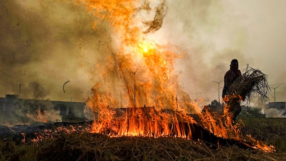 Stubble Burning: ਪਰਾਲੀ ਸਾੜਨ ਵਾਲੇ ਕਿਸਾਨਾਂ 'ਤੇ ਕੀਤੀ FIR, ਲਾਲ ਐਂਟਰੀ ਕੀਤੀ ਦਰਜ, 2 ਫਸਲਾਂ ਦੀ ਨਹੀਂ ਹੋਵੇਗੀ ਸਰਕਾਰੀ ਖਰੀਦ