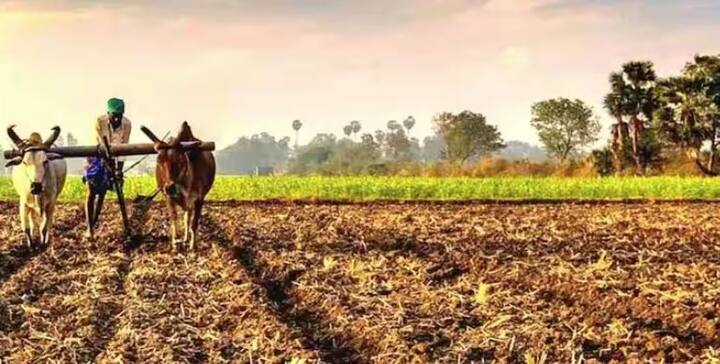 ਤੁਹਾਨੂੰ ਦੱਸ ਦੇਈਏ ਕਿ ਕਿਸਾਨ ਯੋਜਨਾ ਦੀ 18ਵੀਂ ਕਿਸ਼ਤ ਅਕਤੂਬਰ ਮਹੀਨੇ ਵਿੱਚ ਜਾਰੀ ਕੀਤੀ ਗਈ ਸੀ, ਹੁਣ 19ਵੀਂ ਕਿਸ਼ਤ ਅਗਲੇ ਸਾਲ ਫਰਵਰੀ ਮਹੀਨੇ ਵਿੱਚ ਜਾਰੀ ਕੀਤੀ ਜਾ ਸਕਦੀ ਹੈ। ਕਿਸ਼ਤ ਪ੍ਰਾਪਤ ਕਰਨ ਤੋਂ ਪਹਿਲਾਂ, ਤੁਹਾਨੂੰ ਉੱਪਰ ਦੱਸੇ ਕੰਮਾਂ ਨੂੰ ਪੂਰਾ ਕਰਨਾ ਚਾਹੀਦਾ ਹੈ।