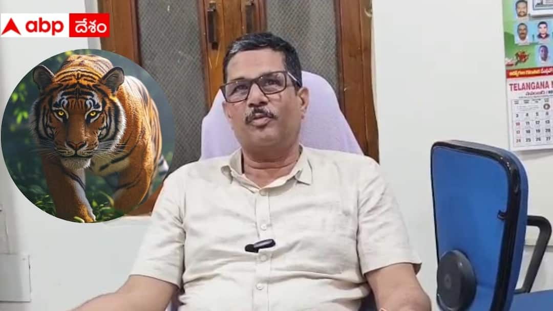 Same Tiger Attack In Komaram Bheem Asifabad district forest official Tiger Attack In Komaram Bheem Asifabad: కుమ్రం భీం ఆసిఫాబాద్ జిల్లాలో ఇద్దరిపై దాడి చేసింది ఒకే పులి, స్పష్టం చేసిన అధికారి