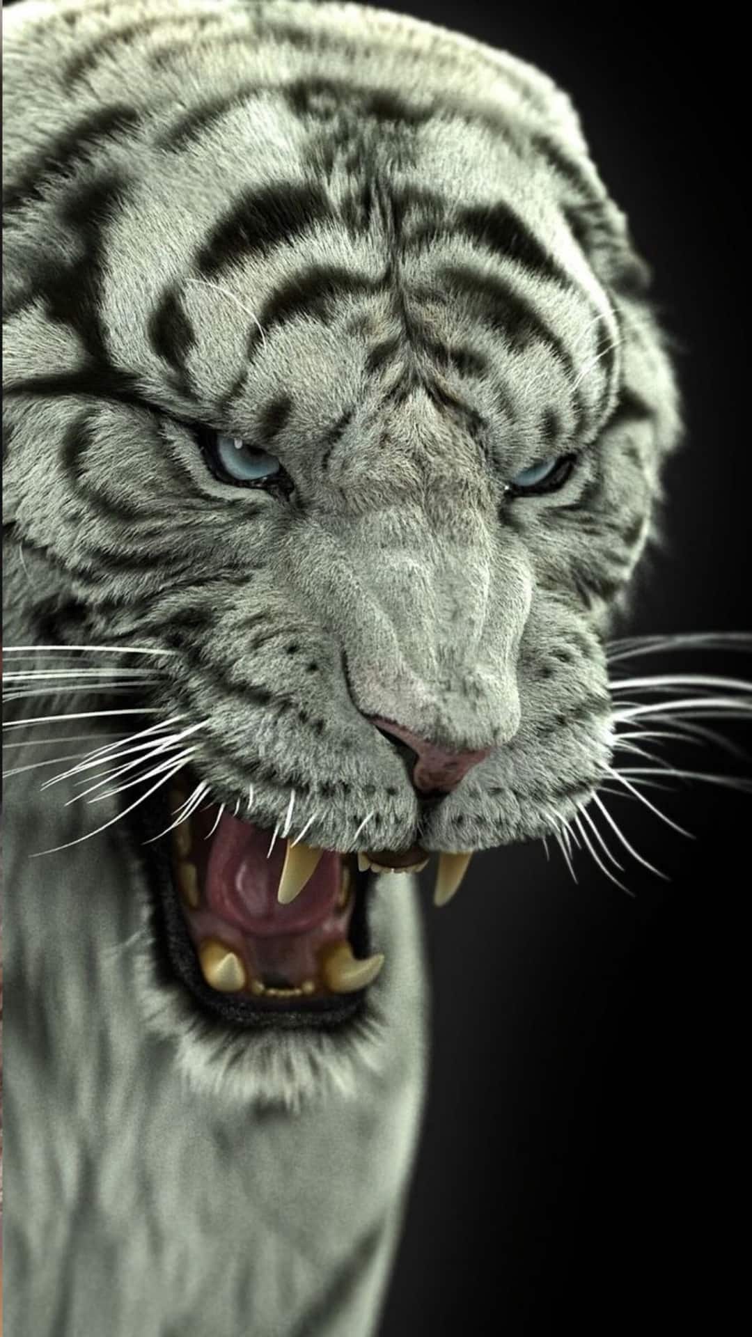 10 Most Dangerous Animals In India You Should Steer Clear Of 10 Most Dangerous Animals In India You Should Steer Clear Of