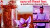 Saffron Farming Success: रखरखत्या भूमीवर केशराचा प्रयोग, राहत्या घरीच कंद लावले, छत्रपती संभाजीनगरच्या निवृत्त अधिकाऱ्याची किमया