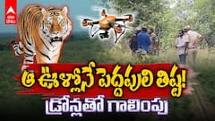 ఆ ఊళ్లోనే పెద్దపులి తిష్ట! డ్రోన్లతో గాలింపు