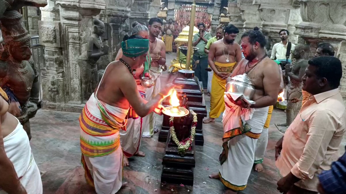 Palani Temple : பழனி தண்டாயுதபாணி சுவாமி கோவில்.. திருக்கார்த்திகை தீப திருவிழா  காப்புகட்டுதலுடன் துவங்கியது.