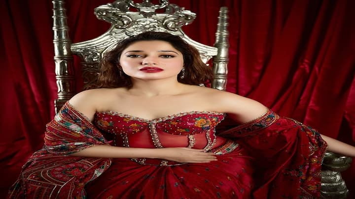 Tamannaah Bhatia Photo: તમન્ના ભાટિયા ફિલ્મ 'સ્ત્રી 2'ના હિટ ગીત આજ કી રાતમાં જોવા મળ્યા બાદ સોશિયલ મીડિયા સેન્સેશન બની ગઈ છે.