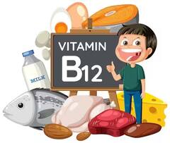 વિટામિન B12ની ઉણપથી થઇ શકે છે આ ખતરનાક સમસ્યા, જાણો કમીથી શરીરમાં સર્જાતા લક્ષણો