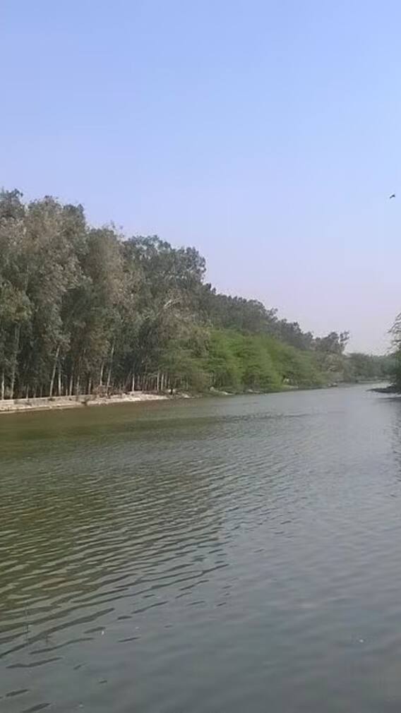 दिल्ली की 5 खूबसूरत झीलों पर सनसेट का लें आनंद