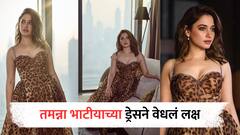 Tamannaah Bhatia : टायगर प्रिंट अन् ग्लॅमरस लूक, तमन्ना भाटीयाचे फोटो चर्चेत!