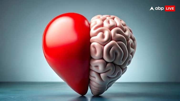 The heart also has its own mind, it is master of its own will – study