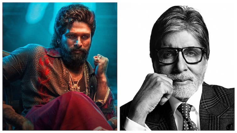 Allu Arjun Calls Amitabh Bachchan His 'Inspiration'; Big B Responds, 'You Give Me More Than I Deserve'