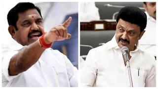 'கேவலமா இருக்கு' டங்ஸ்டன் விவகாரம்.. முதல்வர் ஸ்டாலினை கிழித்து தொங்கவிட்ட இபிஎஸ்!