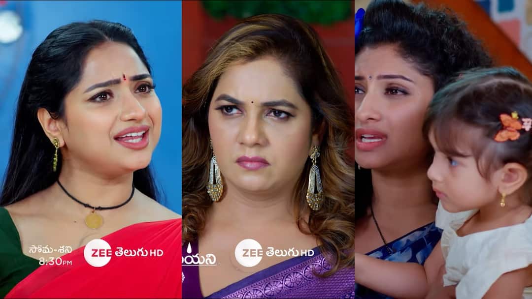 Trinayani Serial Today December 9th: 'త్రినయని' సీరియల్: ఫ్రింగర్ ఫ్రింట్స్తో పట్టించే ప్రయత్నం.. చిట్టి పాప రాకతో ఏదో జరిగిందే? trinayani serial today december 9th episode written update in telugu Trinayani Serial Today December 9th: 'త్రినయని' సీరియల్: ఫ్రింగర్ ఫ్రింట్స్తో పట్టించే ప్రయత్నం.. చిట్టి పాప రాకతో ఏదో జరిగిందే?