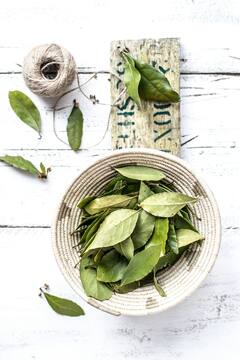 Bay Leaf Benefits:  या पानाचा उपयोग करून अनेक रोग बरे होतात, जाणून घ्या!