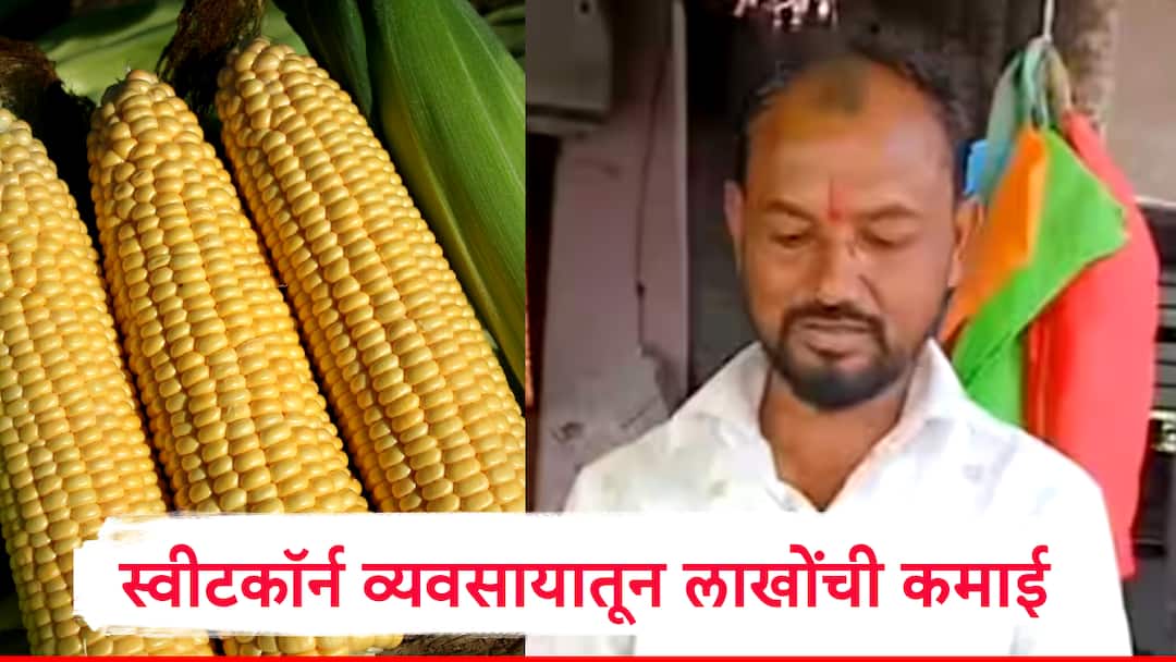 Success Story Solapur 9th Pass youth started Sweetcorn Business in 500 rs now Net earning is 13 lakhs Sweetcorn Success: नववी पास तरुणाला स्वीटकॉर्नची गोडी! 500 रुपयांत सुरु केला व्यवसाय, आता उलाढाल 13 लाखांवर