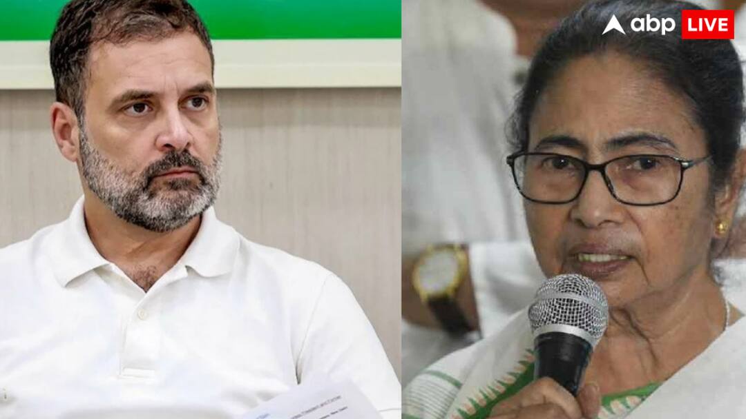 कौन करेगा इंडिया गठबंधन का नेतृत्व? कीर्ति आजाद बोले-ममता बनर्जी हैं सक्षम, शरद पावर का भी मिला समर्थन Who will lead the India alliance? Kirti Azad said Mamta Banerjee is capable Sharad Power also got support कौन करेगा इंडिया गठबंधन का नेतृत्व? कीर्ति आजाद बोले-ममता बनर्जी हैं सक्षम, शरद पावर का भी मिला समर्थन