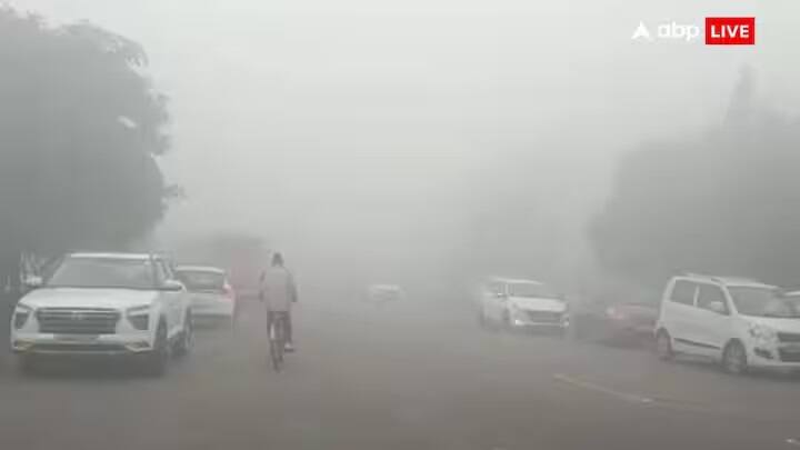 આગામી 24 કલાકમાં પંજાબ અને હરિયાણામાં ગાઢ ધુમ્મસની સંભાવના છે. વેસ્ટર્ન ડિસ્ટર્બન્સના કારણે જમ્મુ-કાશ્મીર, લદ્દાખ, હિમાચલ પ્રદેશ અને પંજાબ-હરિયાણામાં હળવોથી મધ્યમ વરસાદ થઈ શકે છે. આ વિસ્તારોમાં વરસાદ અને ગાજવીજ સાથે વરસાદની પણ શક્યતા