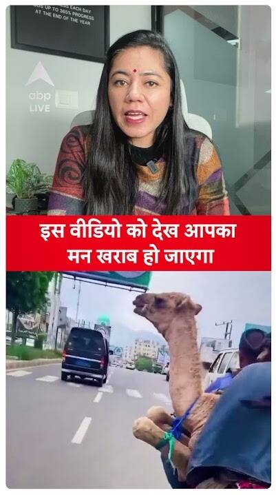 Viral Video: Camel Carried By Two Men On A Scooty | Shocking