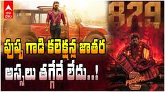 Pushpa Day 4 Collections | రోజు రోజుకూ కలెక్షన్లు పెంచుకుంటున్న పుష్ప 2 | ABP Desam