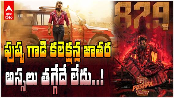 Pushpa Day 4 Collections | రోజు రోజుకూ కలెక్షన్లు పెంచుకుంటున్న పుష్ప 2 | ABP Desam