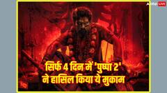 'पुष्पा 2' ने सबसे तेज कमाए 800 करोड़, ये मुकाम हासिल करने वाली पहली इंडियन फिल्म!