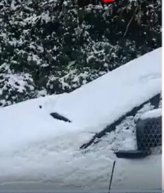 Himachal Pradesh: शिमला में ताजा बर्फबारी हुई | ABP NEWS SHORTS